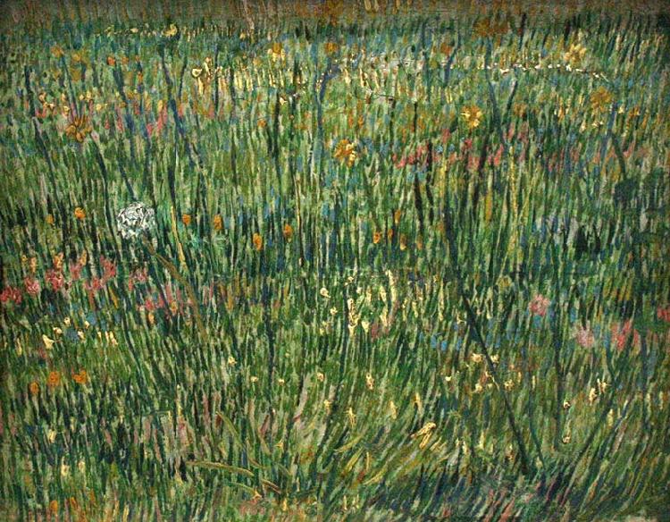 Vincent Van Gogh Patch of Grass